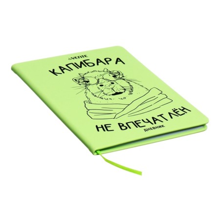 Universal diary for grade 1-11 Capybara, hard cover, artificial leather, silkography, lies, 80 g/m2-1