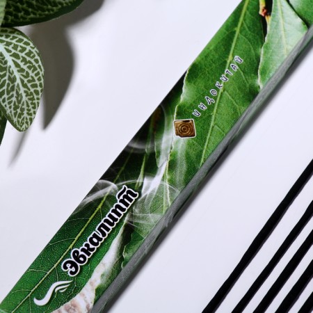 Incense "Charm of East Eucalypt", 20 sticks in packaging-1