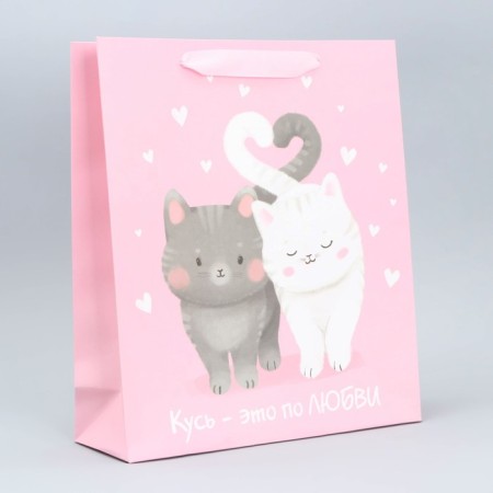 Package Gift Laminated Vertical, packaging, “Love and heat”, m 26 x 30 x 9 cm-1