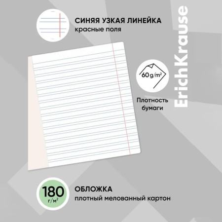 Notebook 12 sheets in a narrow ruler, Erichkrause Visio "Classic", cover coated a cardboard, an offset block, green-11