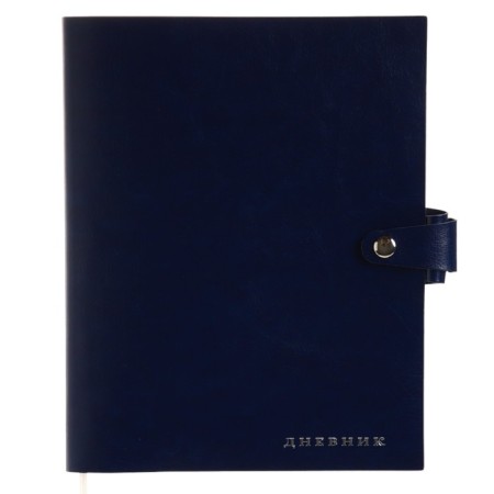 Universal diary for grade 1-11 Favorite, soft cover, button, artificial leather, foil embossing, refrain, lies, 48 ​​sheets-12