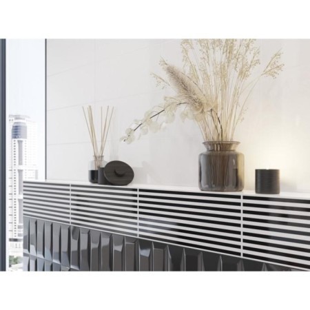 Black-white Evolution Decor 440x200