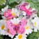 Butterflies for decor and floristry, on the clothespin, plastic, mix, 5 cm and 8 cm