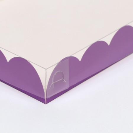 Box for cookies, lilac, 22 x 15 x 3 cm-1