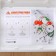 Freezing tray 36 × 31 × 3.5 cm, white color