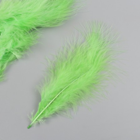 A set of decorative feathers "needlework", 20 pcs (lime color), pen length 13-16 cm-1