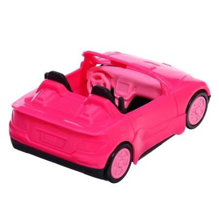 Set with a pet "animals. Automobile"-9