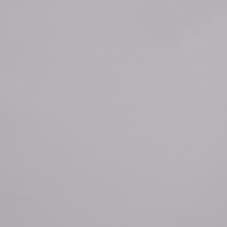 Polishp "silver" 0.60 m x10 m-2