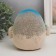 Growing gift Eco -Zhizhivchik "Snegier"