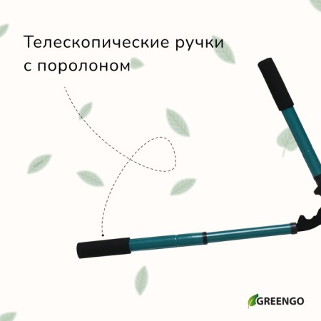 Kustorez, 22–28.5 "(56–73 cm), telescopic, with foam handles, with a case, color mix, Greengo-5