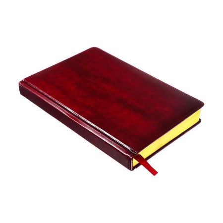 Dated diary of 2025, A5, 168 sheets in the ruler, leatherette "Nebraska", gold cut, burgundy-3