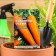 Seed Carrots "Queen of Autumn" Seeds on the tape, 8 m