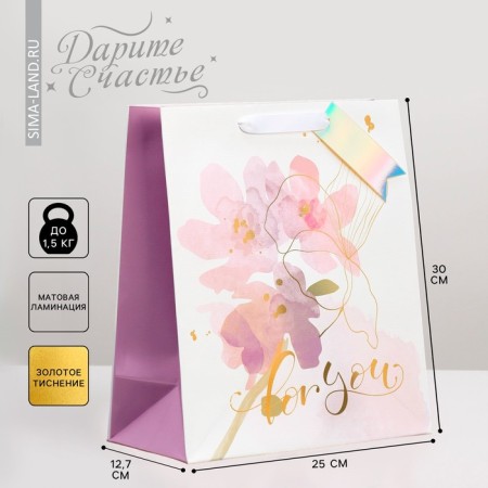 Gift Package Laminated, packaging, “Lines”, 25.4 x 30.5 x 12.7 cm