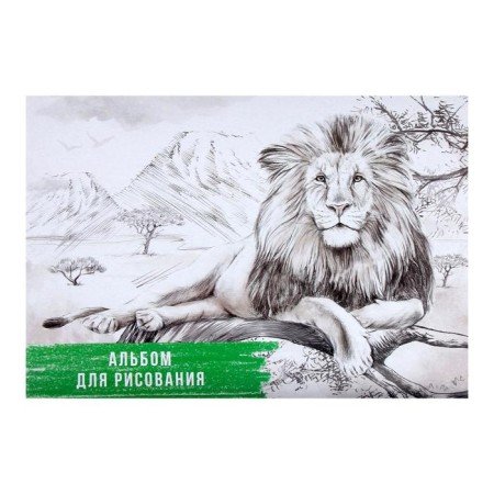 Album for drawing A4, 40 sheets on the board "Leo", cover coated cardboard, internal block offset 100 g/m²