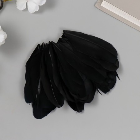 Decorative goose feature "Black" in the shape of a sheet set 40 pcs h = 5-7 cm