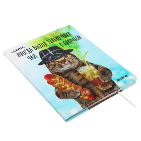 Universal diary for grade 1-11 "Sometimes there is only one way out", solid cover, artificial leather, liesse, 80 g/m2-1