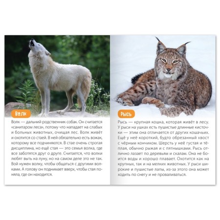 A set of training books “We learn together. Animals of our planet ”, 4 pcs. 20 p.-2