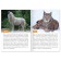 A set of training books “We learn together. Animals of our planet ”, 4 pcs. 20 p.
