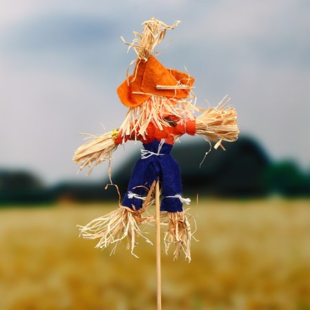 The garden scarecrow "pumpkin", h = 50 cm, mix, Greengo-1