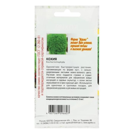 Flower seeds Annual Kochia 0.1-1