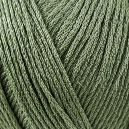 Yarn "Children's Cotton" 100%Mercerized cotton 330m/100g (38-Paul)-2