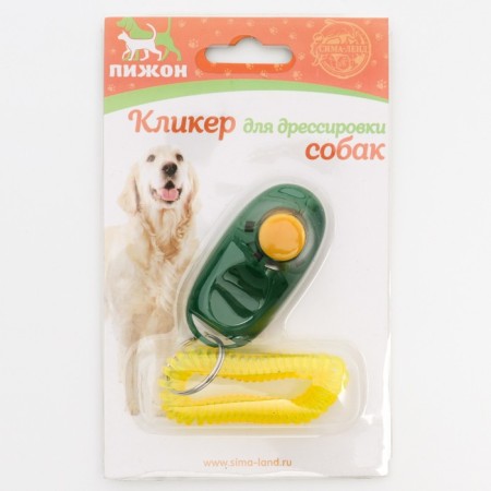 Clider for training dogs with a bracelet on the hand, green-3