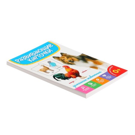 Developing cards "Pets"-2