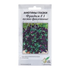 Anyutin's flowers “Frida F1” dark violet, 5 pcs