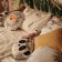 Pillow decorative crumb I am Panda, 40x30 cm, velor, filler 250g/m2
