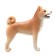 Figure Konik "Siba-Inu"