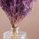 Set of dried flowers "chandra", banch length 40 (+/- 6 cm), lilac