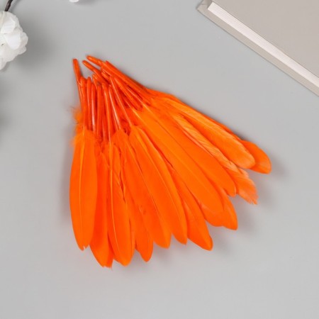 Decorative goose feathers "bright orange" set 30 pcs h = 10-12 cm