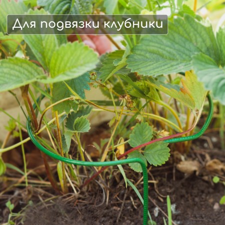 Builder for strawberries, d = 20 cm, h = 25 cm, leg d = 0.3 cm, metal, green, Greengo-3