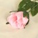 Artificial flowers "rose" 63 cm, d-5 cm, pink