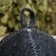 Hat -hat with embroidery "hot little thing", gray
