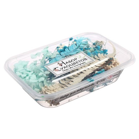 Set for creativity "Set of dry flowers" large, blue-2
