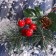 Decor "Winter charm" bump with berries of hook 19 cm
