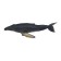 Figure "World of Marine Animals: Kit"