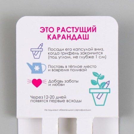 Growing gift pencils Mini "Mint and Paprika" set 2 pcs-2