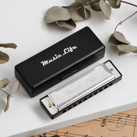 Music Life's Glublya, Diatonic, C-Major, with a case, silver-1