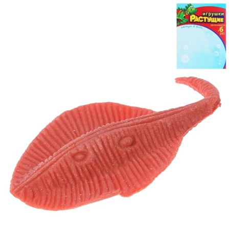 Children's experience “growing animal. Sea animals ", mix-12