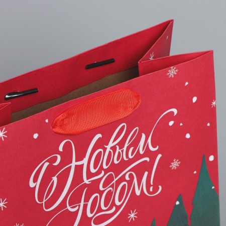 Craft vertical package "New", MS 18 x 23 x 10 cm, New Year-4