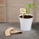 Garden signs for marking, 15 cm, set 8 pcs., Wood, Greengo