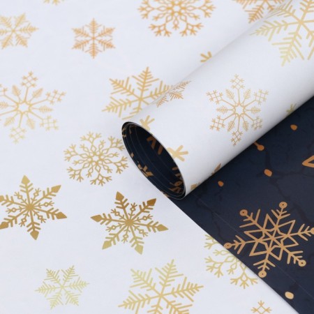 Paper Glossy "Snowflakes", bilateral, 70 x 100 cm-1