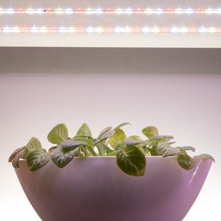 LED tape for plants ERA Fito-Strip Light-Ra90-3M full spectrum 3M IP65, with adapter 12-9