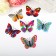 Magnet Plastic "Butterfly Rainbow" double wings, mix 6.2x, 7.1 cm