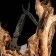 Multitula with pliers and ax
