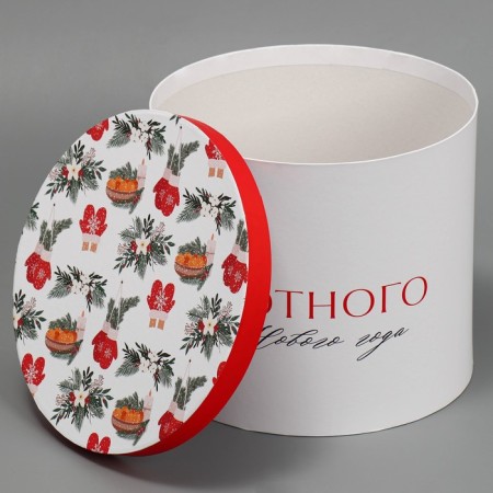 Gift Box "Cozy New Year", 19.5 x 22 cm, New Year-2