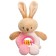Poster Bunny, Mum & Baby toy
