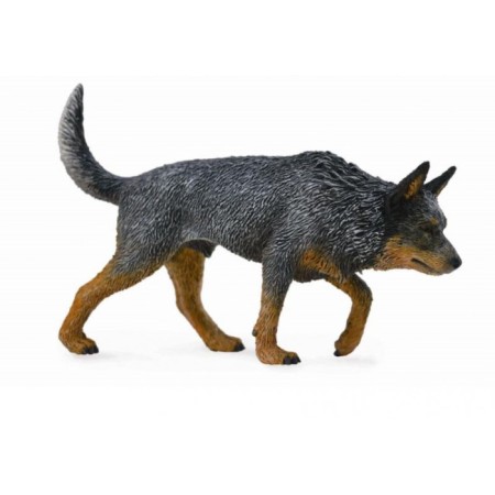 Figure "Australian shepherd dog", l